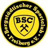BSC Freiberg (F)