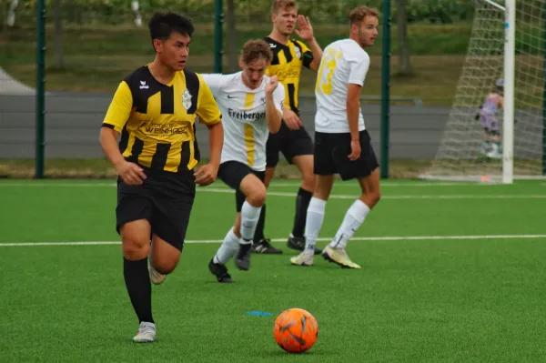 08.09.2024 VfB Halsbrücke vs. BSC Freiberg II