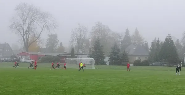 09.11.2019 SV Fortuna Langenau vs. VfB Halsbrücke